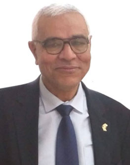 Abdelmonem Awad M. Hegazy
