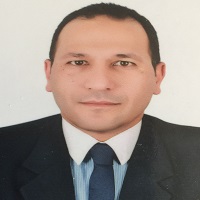 Amr Abdel-Mordy Ali Kandeel
