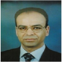 Ahmed Nagah El-Shaer