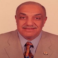 Tarek Mohamed Kamal Motawi